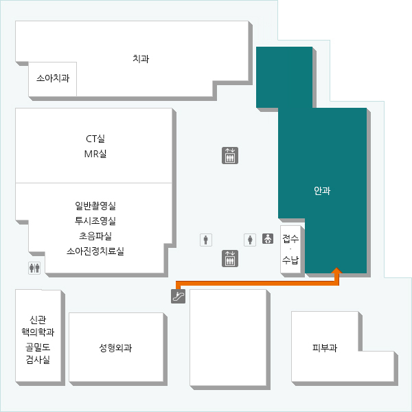 안구 및 안구를 싸고 있는 기관을 포함하는 질환을 진단하고 약물 요법 및 수술 요법으로 치료하고 관리하는 진료과입니다.