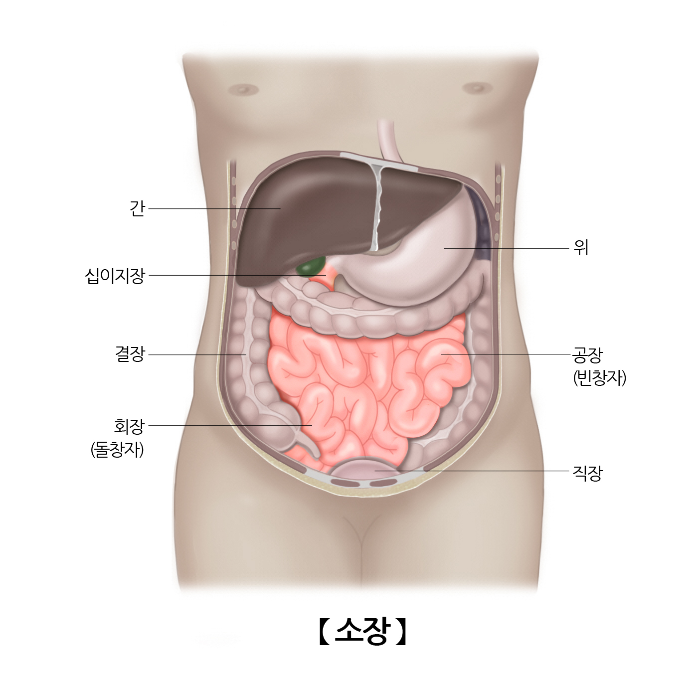 소장