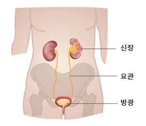 요잠혈